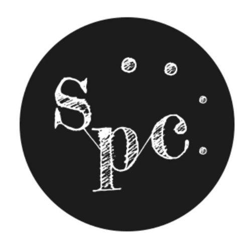 Sieć Pedagogiki Cyrku